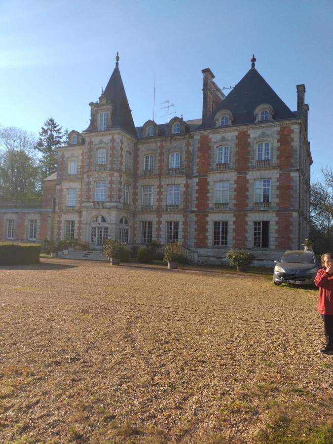 Chateau De Rocheux Freteval Exterior photo